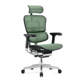 Ergohuman NEW Colors - Ergohuman Green Ergohuman NEW Colors - Ergohuman Green